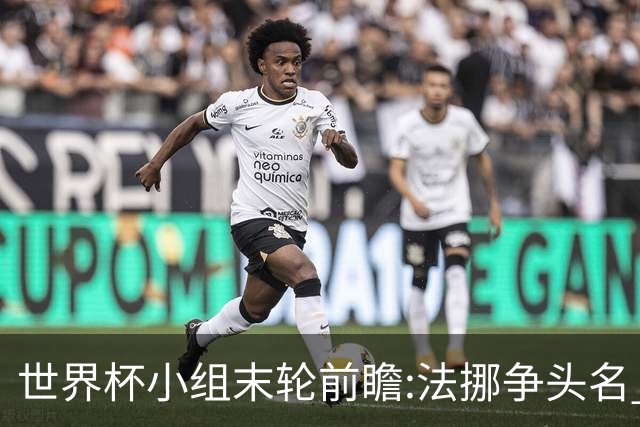 世界杯小组末轮前瞻:法挪争头名 西班牙仍不稳