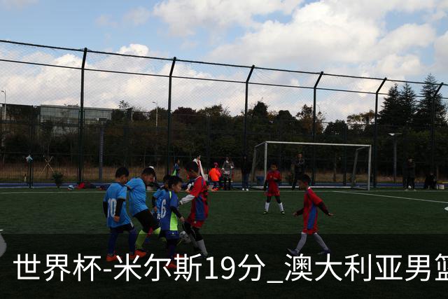 世界杯-米尔斯19分 澳大利亚男篮大胜格鲁吉亚