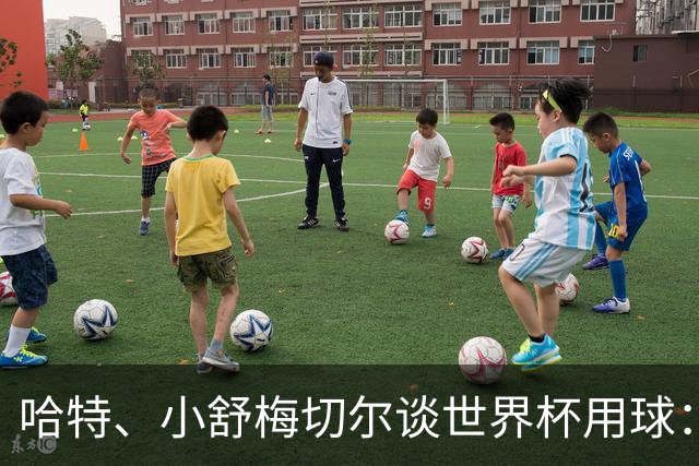 哈特、小舒梅切尔谈世界杯用球：这球肯定有问题，远射太多了